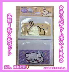 ちいかわ　マイナンバーカードケース