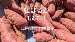 さつまいも 紅はるか 1.2キロ