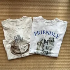 Item thumbnail for item 213f75f1-5497-47af-b8ca-ba22c3b188e4