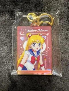 テ*ト様 セーラームーン ストアオリジナル 名シーンアクリル