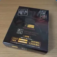 リンバスカンパニー ましコレ スクエアフォトコレクション リンバスカンパニー スクエアフォトコレクション ましコレ 1BOX - メルカリ