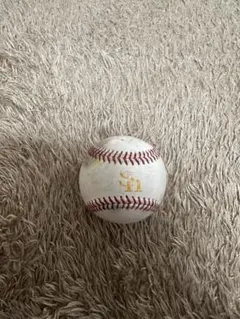 福岡ソフトバンクホークス実使用練習球