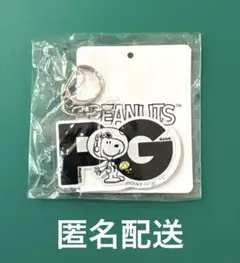 タグ付き XL ポルノグラフィティ　ヴィレッジヴァンガード スヌーピーTシャツ タグ付き XL ポルノグラフィティ ヴィレッジヴァンガード