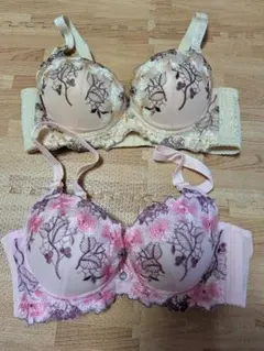 レディース ブラジャー 2点セット