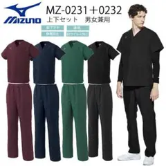 Item thumbnail for item 1bfdcb2d-3f6c-45be-a651-0cb805af4156