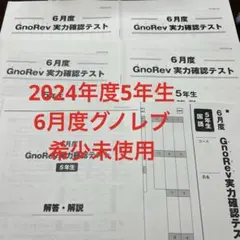GnoRev 実力確認テスト 6年生 3月〜11月 - メルカリ