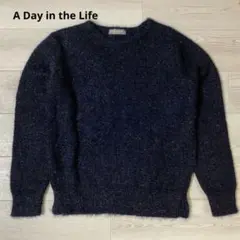 A Day in the Life ラメ混シャギーニット　セーター