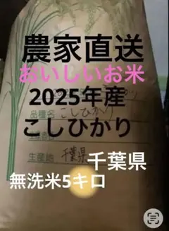 千葉県　無洗米こしひかり5kg 2025年産高品質混ざりなしのサムネイル