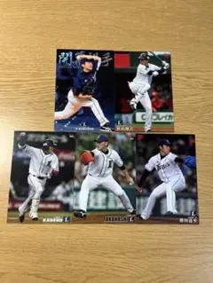 【レアカード付き】プロ野球チップス　埼玉西武ライオンズ