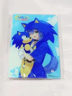 戌神ころね ソニック×戌神ころねコラボイラスト アクリルパネル ホロライブ