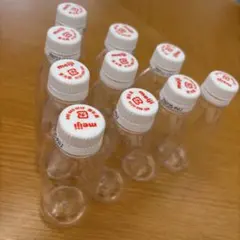 アールワン R-1 空容器 プラスチックボトル 10本 工作 即日発送