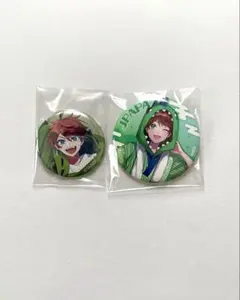 カラフルピーチ　からぴち　じゃぱぱ　缶バッジ