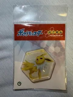 【サンダース】ポケットモンスター ハニカムアクリルマグネット 即購入⭕️