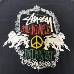 Stussy Tシャツ　ラスタライオン　ラスタカラー　長渕剛 Stussy Tシャツ ラスタライオン ラスタカラー 長渕剛