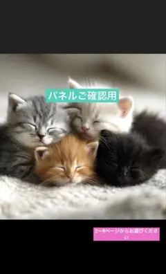 パネルご確認用　フラットポーチ