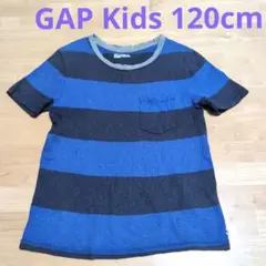 120cm　GAPKids　Tシャツ　男の子　女の子　ボーダー 半袖　青　紺