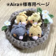 ❀Aira❀様専用ページ