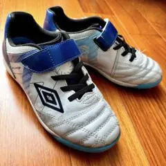 Item thumbnail for item 9f803a2a-75e8-4f77-8156-5d873bcb3fbf