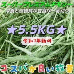 ★SPチモシー1番刈 5.5kg ◼︎小動物 ペットフード 牧草 うさぎ おやつのサムネイル