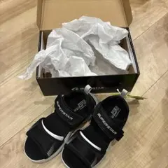 スーパースター　20センチ