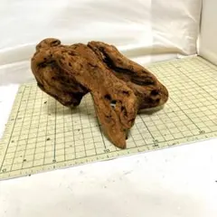 Gum(必ずプロフ確認お願いします！)様 リクエスト 2点 まとめ商品