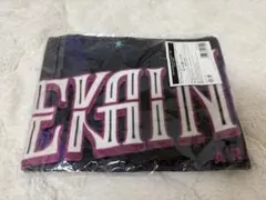 2025年最新】セカオワ タオルの人気アイテム - メルカリ