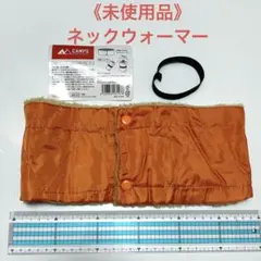 Item thumbnail for item be06c336-135c-4b7a-a852-2505e2ff851d