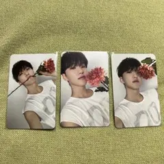 SEVENTEEN セブチ トレカ ホシ DEAR盤