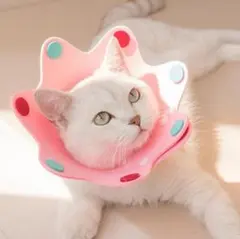 Item thumbnail for item 9069bf56-6f9e-4159-9f33-fcb147962020