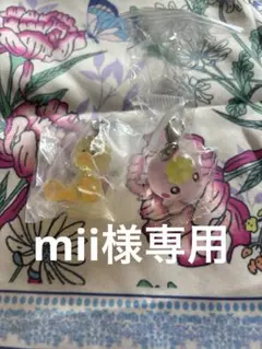 mii様専用
