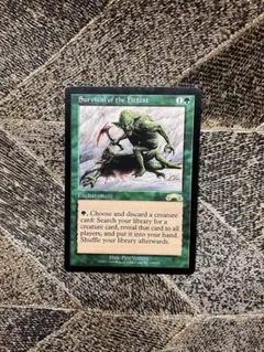 2026年最新】mtg適者生存の人気アイテム - メルカリ