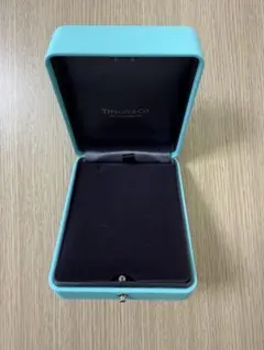 Tiffany ネックレス用ジュエリーボックス　空箱