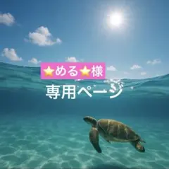 ⭐️める⭐️様 リクエスト 4点 まとめ商品