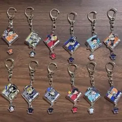 ハイキュー アクリルキーホルダー 12点セット