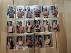 RIZINウエハース(カード)