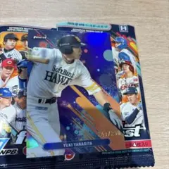 toppschrome finest 2025 柳田悠岐　250シリ