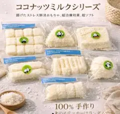新品 ココナッツミルク風味 クリーミー味　スクイーズ　2 点セット