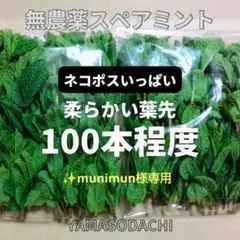 ✨️munimun様専用　スペアミント 葉のサムネイル