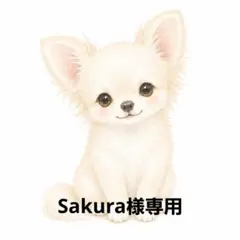 専用　チワワのハンドメイドチャーム