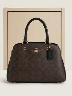 【美品】 COACH シグネチャー ドーム型 ハンドバッグ