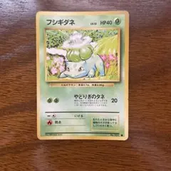 旧裏 ポケモンカード フシギダネ