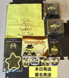 サンリオ　ハロウィン2025 Happyくじ　ポムポムプリン