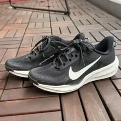 Nike ACG Pegasus Trail ペガサストレイル 24.5cm