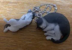 ハチワレ　キーホルダー