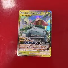 セレビィ&フシギバナGX RR サン&ムーン 拡張パック タッグボルト キラ … セレビィ&フシギバナGX RR サン&ムーン 拡張パック タッグボルト キラ