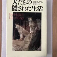 Item thumbnail for item fd1e7931-50fb-41c2-86b2-04c6e6964aa7