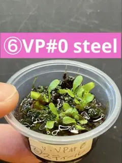 かつひろ様 リクエスト 2点 まとめ商品