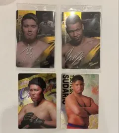 RIZINウエハースカード 上田幹雄 スダリオ剛 エドポロキング