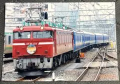 ブルパグ様 リクエスト 3点 まとめ商品