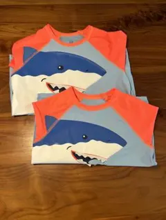 Item thumbnail for item f4e09496-1158-4c67-8e99-7982d90ff78c